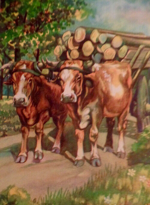 Vintage Ox Oxen Cart Team Print 1939 Children's Book Illustration Victor Becker