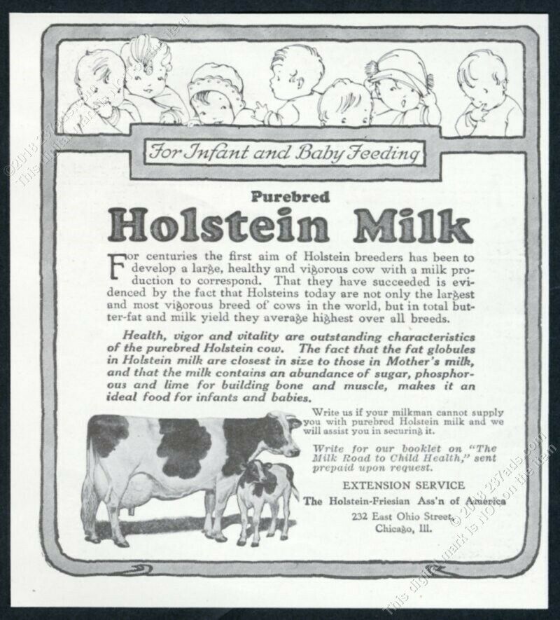 1923 Holstein Milk Holstein-friesian Cow Photo Vintage Print Ad