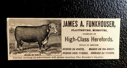 1902 Funkhouser Farm Cattle Advertising - Plattsburg - Missouri - Cow